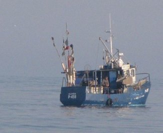 „Klaipėdos žuvininkystės vietos veiklos grupė“ ieško darbuotojų