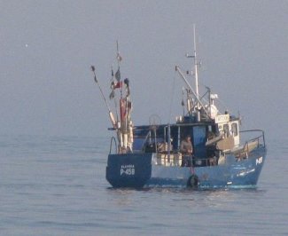 klaipedazvvg.lt nuotrauka