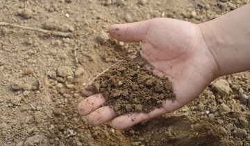 Mikrorajonuose prie uosto – padidėjusi tarša