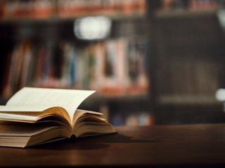 Klumpant diegta šiuolaikiška sistema nesutrukdė laimėti teisminio ginčo