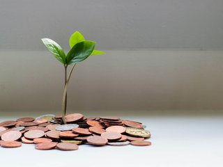 Sumažintų tikslinių kompensacijų dalinis kompensavimas
