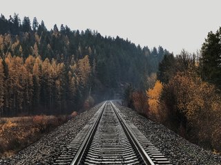Girulių miškas – ne vieta geležinkelio mazgo plėtrai