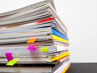 Nepritaria ir „Grigeo Klaipėda“ PAV programai