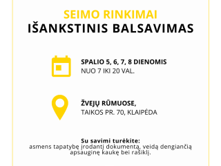 Prasidėjo išankstinis balsavimas