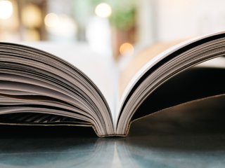 Dėl 2019–2023 metų kadencijos Klaipėdos miesto savivaldybės seniūnaičių rinkimų