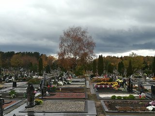 Informacija dėl Joniškės kapinių priežiūros