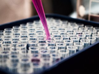 Tęsiamas žmogaus biologinės stebėsenos tyrimas