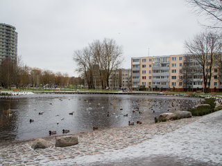 Baigtas Ąžuolyno giraitės sutvarkymas