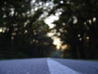 Judėjimo tarp savivaldybių ribojimai
