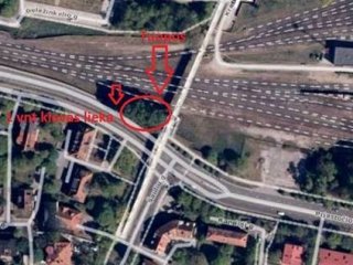 Pašalins 12 tuopų šalia pėsčiųjų tilto