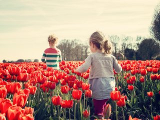 Nemokamos konsultacijos ir paslaugos klaipėdiečiams