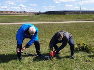 Dumpių nuotekų valyklos kvapams mažinti - eglių alėja