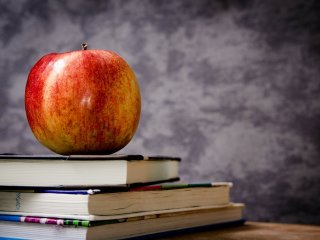 Mokslo metų pabaigimas: prioritetas nuotoliniam ugdymui