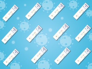 Klaipėdos mokyklose startuos testavimas