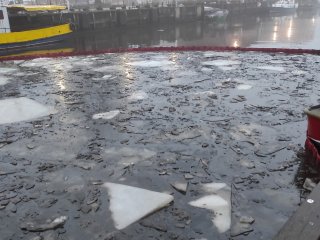 Teršalai Danėje – dyzelinas ir panaudota alyva