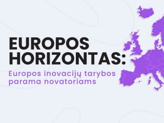 Individualūs mokymai Lietuvos verslo ir mokslo atstovams „Kaip parengti kokybišką paraišką...