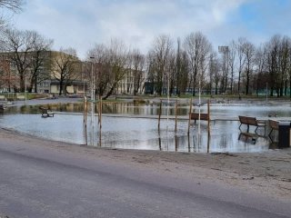 Potvynių Ąžuolyno giraitėje nebeturėtų būti