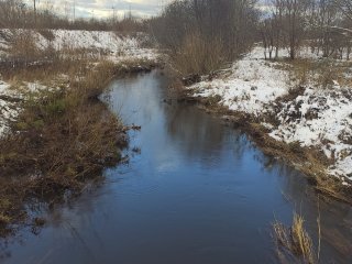 Dėl Smeltalės upės Klaipėdos mieste valymo darbų projekto
