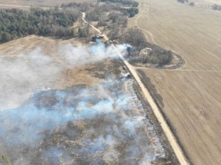 Informacija dėl pernykštės žolės deginimo draudimo