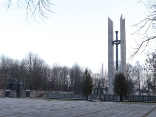 Skelbiami gyventojų apklausos rezultatai