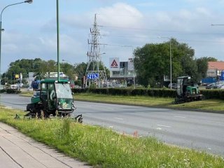 Informacija apie miesto viešųjų erdvių šienavimą