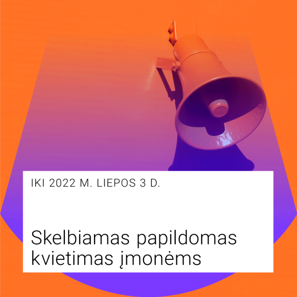 LKT_Dizaino sparnai_papildomas kvietimas