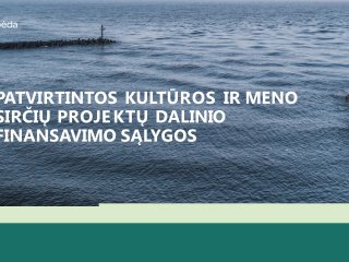 PATVIRTINTOS KULTŪROS IR MENO SRIČIŲ PROJEKTŲ DALINIO FINANSAVIMO SĄLYGOS 