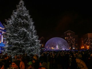 Klaipėda ieško Kalėdų eglutės