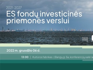 ES fondų investicinės priemonės verslui