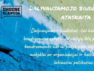 Dalyvaujamojo biudžeto mokyklose 2022 m. ataskaita
