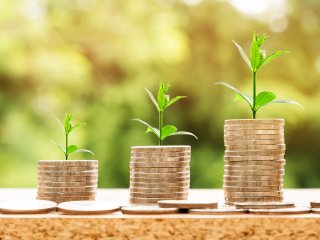 Klaipėdos miesto savivaldybės biudžeto lėšomis 2023 metų finansuojamų ir nefinansuojamų projektų...