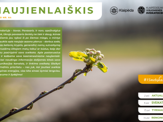 Sveikatos biuro kovo mėnesio naujienlaiškis ir nemokamų sveikatinimo veiklų kalendorius