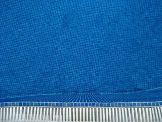 Papildomas kvietimas sporto organizacijoms nemokamai naudotis Klaipėdos miesto daugiafunkciu...