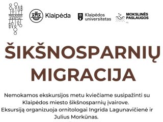 Kviečiame susipažinti su Klaipėdos miesto šikšnosparnių įvairove