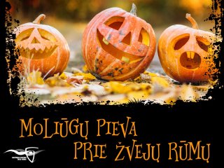 Sukurkime moliūgų pievą kartu!
