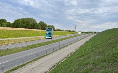 Sutvarkyti Šiaurės prospekto šlaitai