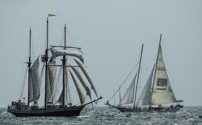 Savaitgalį „THE TALL SHIPS RACES 2024“ didieji burlaiviai išskleidę savo bures Baltijos jūroje...