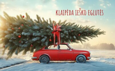 Klaipėdoje - gyvos Kalėdų eglutės tradicija