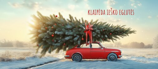 Klaipėda ieško eglutės