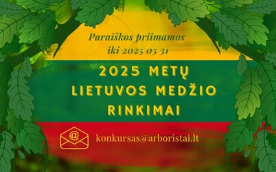 Kviečiame prisidėti prie prasmingos iniciatyvos – „2025 metų Lietuvos  medžio rinkimų“ 
