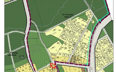 Priimtas sprendimas rengti Girulių detaliojo plano korektūrą suplanuotos teritorijos dalyje –...