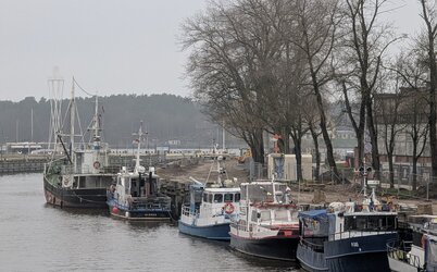 Šiaurės ragas keičiasi: tęsiami atnaujinimo darbai