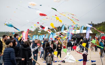 Tarptautinis Aitvarų festivalis „Vėjų vėjai“ – šį savaitgalį